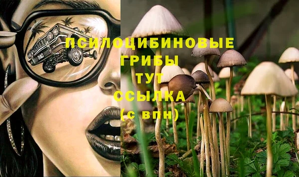 эйфоретик Куйбышев