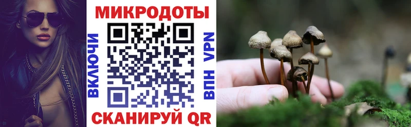 Галлюциногенные грибы прущие грибы Купить где Ишим